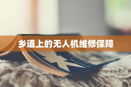 乡道上的无人机维修保障