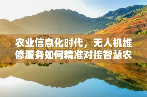 农业信息化时代，无人机维修服务如何精准对接智慧农田？