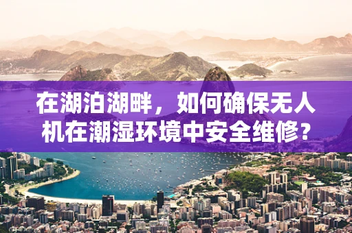 在湖泊湖畔，如何确保无人机在潮湿环境中安全维修？