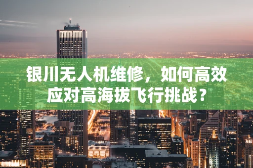 银川无人机维修，如何高效应对高海拔飞行挑战？
