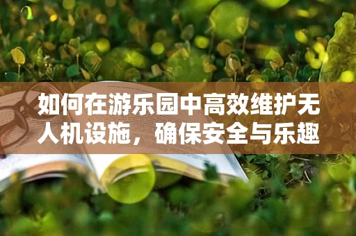 如何在游乐园中高效维护无人机设施，确保安全与乐趣？
