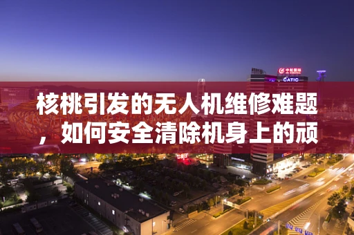 核桃引发的无人机维修难题，如何安全清除机身上的顽固杂物？