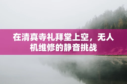 在清真寺礼拜堂上空，无人机维修的静音挑战