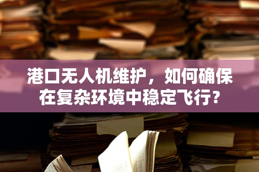 港口无人机维护，如何确保在复杂环境中稳定飞行？
