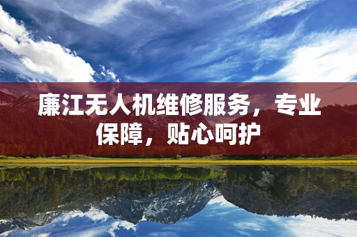 廉江无人机维修服务，专业保障，贴心呵护