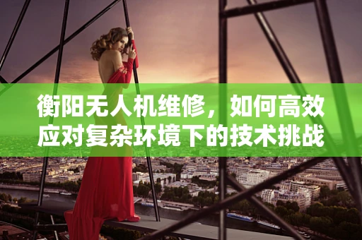 衡阳无人机维修，如何高效应对复杂环境下的技术挑战？
