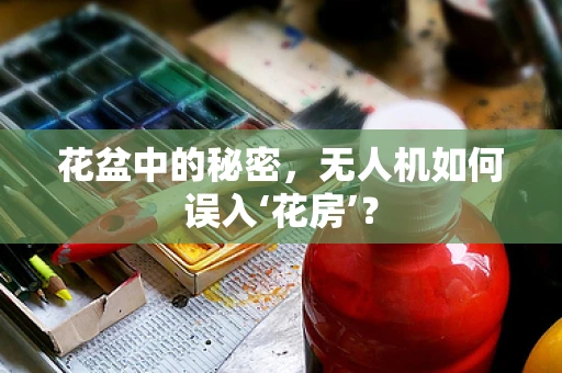 花盆中的秘密，无人机如何误入‘花房’？