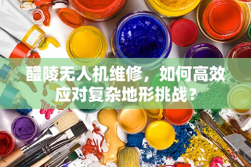 醴陵无人机维修，如何高效应对复杂地形挑战？