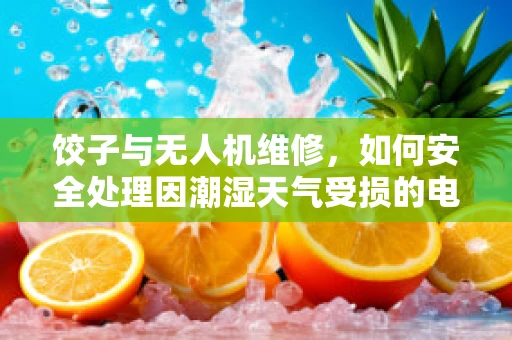 饺子与无人机维修，如何安全处理因潮湿天气受损的电子部件？