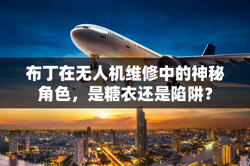布丁在无人机维修中的神秘角色，是糖衣还是陷阱？