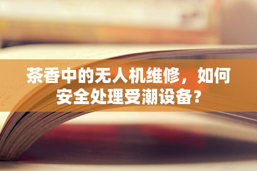 茶香中的无人机维修，如何安全处理受潮设备？