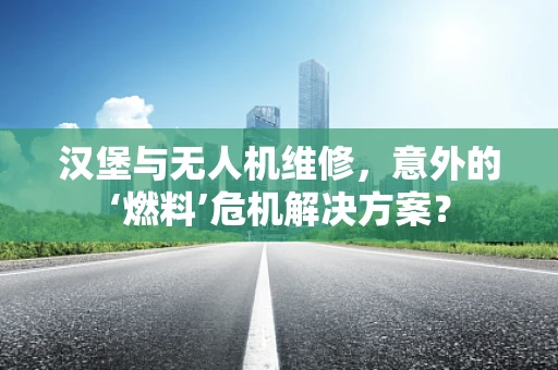 汉堡与无人机维修，意外的‘燃料’危机解决方案？