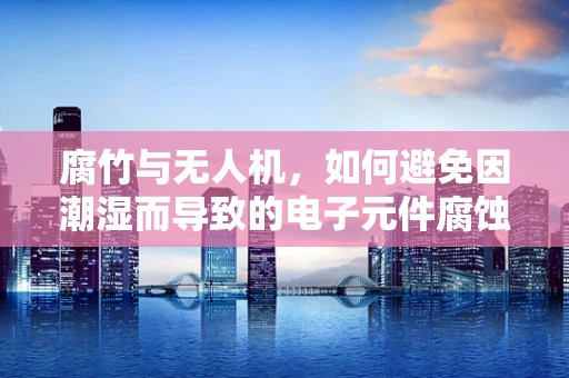 腐竹与无人机，如何避免因潮湿而导致的电子元件腐蚀？