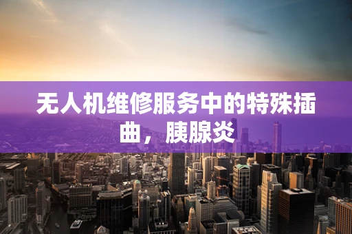 无人机维修服务中的特殊插曲，胰腺炎