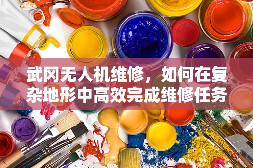 武冈无人机维修，如何在复杂地形中高效完成维修任务？