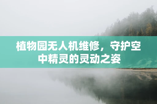植物园无人机维修，守护空中精灵的灵动之姿