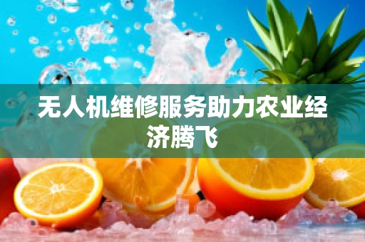 无人机维修服务助力农业经济腾飞
