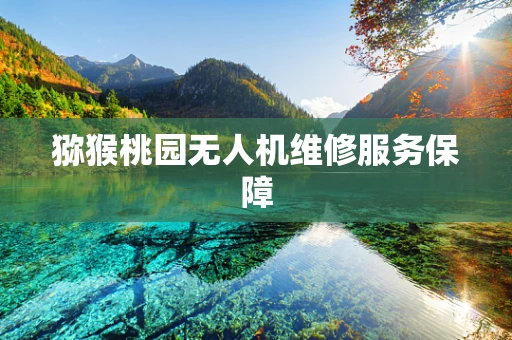 猕猴桃园无人机维修服务保障